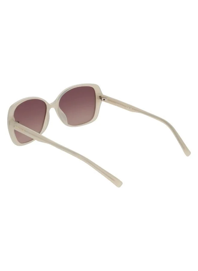 NAUTICA  Oval Sunglasses for Women | Best Price UAE
