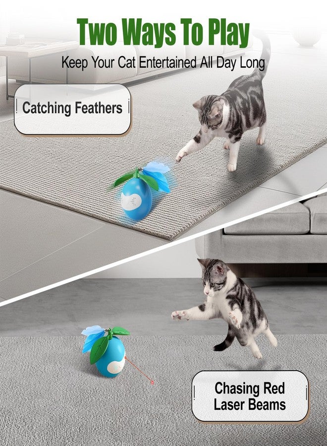TVM Interactive Cat Toy for Indoor Cats, Automatic Moving Ball Toy Suitable for Indoor Adult Cats and Kittens Suitable for All Cat Breeds Fast Rolling Motion Sensor Light-up Effect - Image 5