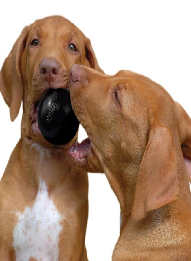 كونج كرة كونغ إكستريم (عبوة من قطعتين) - لعبة مطاطية متينة للكلاب التي تمضغ بقوة - كرة جلب قوية مع فتحة للمكافآت - مثالية للتدريب واللعب التفاعلي - أسود (متوسط/كبير) - Image 3
