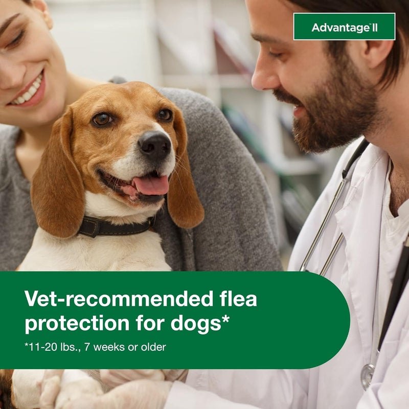 Elanco Advantage II Flea and Lice Treatment for Medium Dogs, 11-20 lbs, 4 Monthly Doses - Image 5