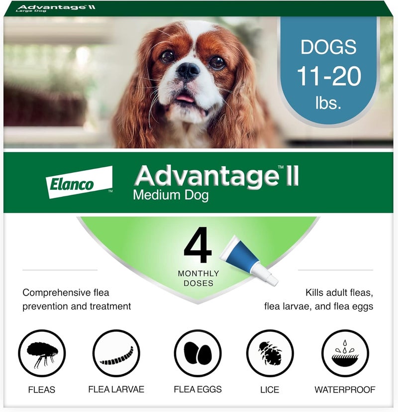 Elanco Advantage II Flea and Lice Treatment for Medium Dogs, 11-20 lbs, 4 Monthly Doses - Image 1
