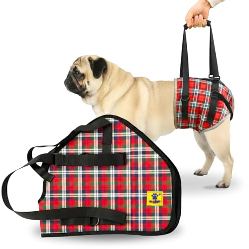 A+a Pets' Dog Lift Support Harness for Hind/Back Legs | for Disable Aged Injured Paralysed Arthritis Pets (Blue S) - Image 1