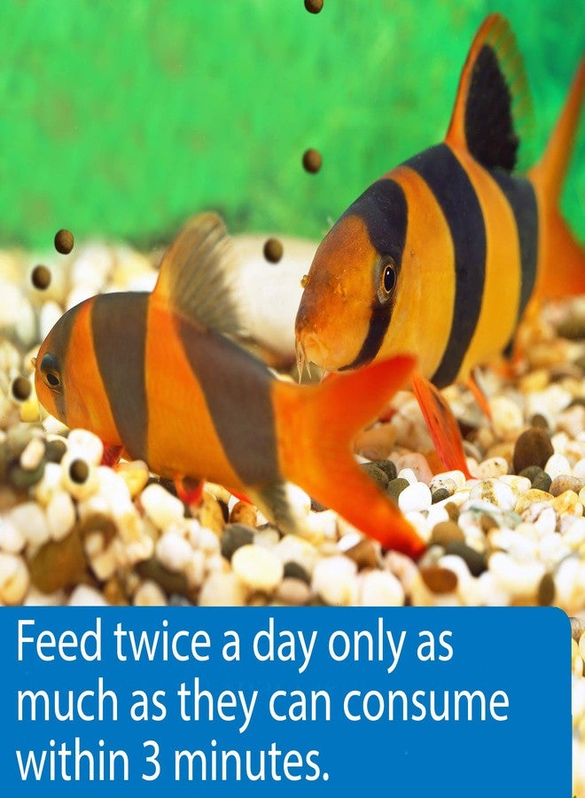 ايه بي آي حبيبات طعام أسماك API للأسماك القاعية مع الحبار، عبوة 7.9 أونصة - Image 4