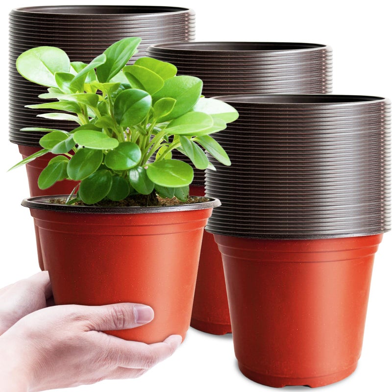 Baaxxango 100 Pcs Plant Nursery Pots,6 Inch Thicker Plastic Seedling Pots with Holes,Seed Starting Pot Flower Plant Container for Succulents,Seedlings,Cuttings,Transplanting - Image 1
