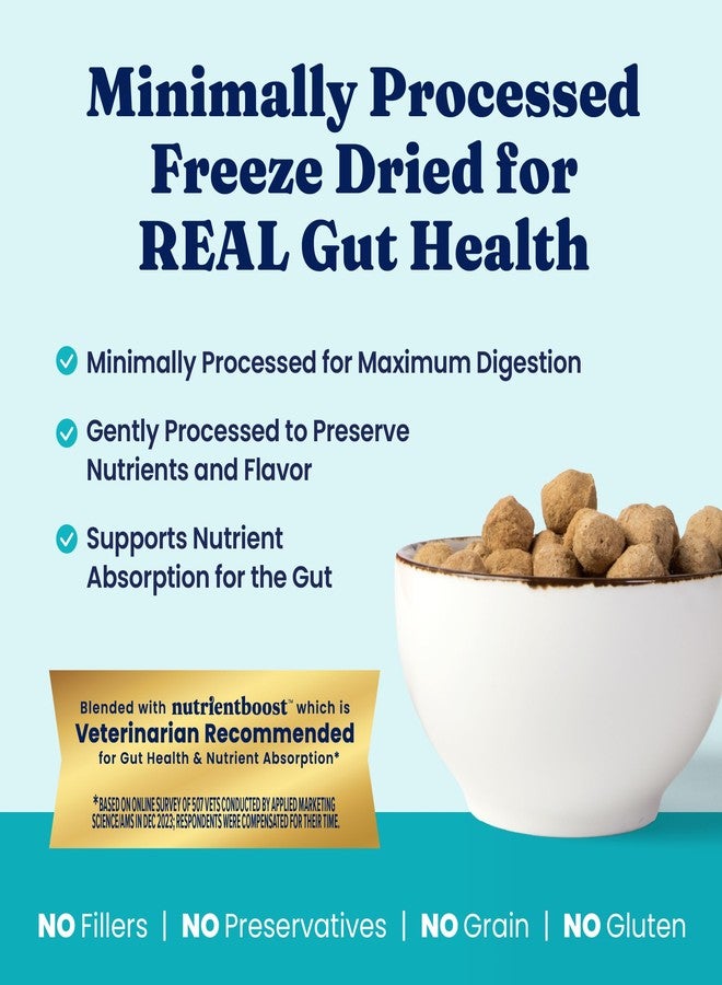 Solid Gold Freeze Dried Dog Food - W/Real Beef, Pumpkin & Superfoods - Freeze Dried Raw Dog Food Toppers for Picky Eaters to Serve as a Nutrient-Dense Meal Topper or High Protein Treats - 12oz - Image 2