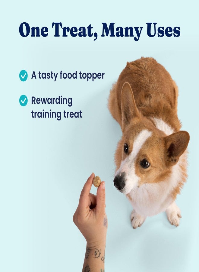 Solid Gold Freeze Dried Dog Food - W/Real Beef, Pumpkin & Superfoods - Freeze Dried Raw Dog Food Toppers for Picky Eaters to Serve as a Nutrient-Dense Meal Topper or High Protein Treats - 12oz - Image 5