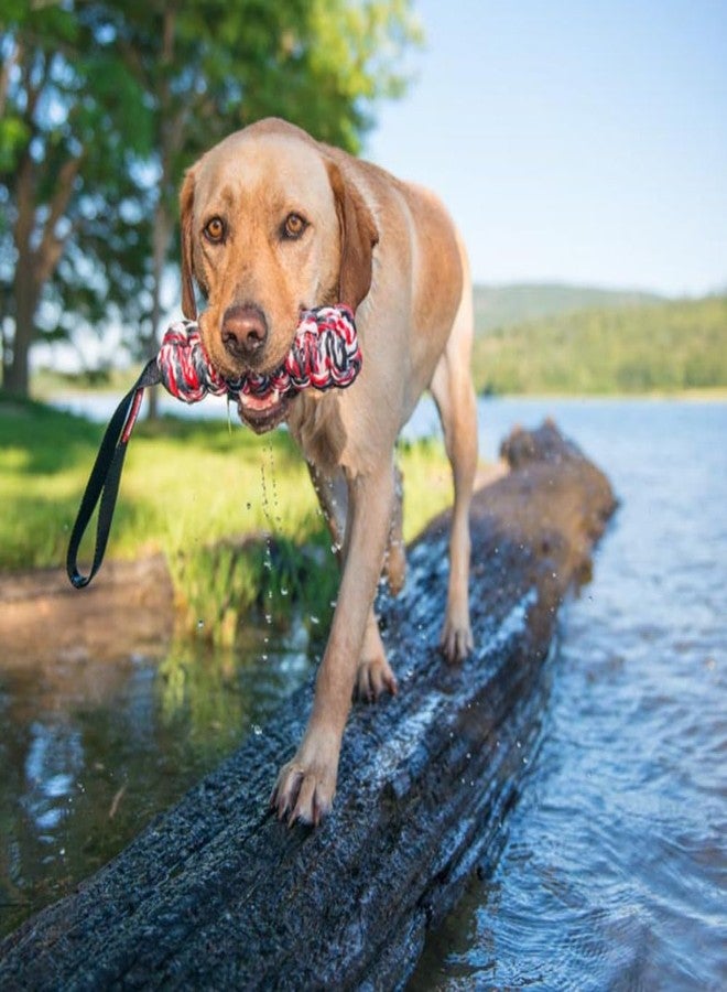 EzyDog Beaver Tail Dog Toy - Versatile and Durable Fetch and Tug Toy That Floats in Water - Perfect for Retrievers and Water Dogs - Large Size for Dogs Over 44 lbs (Large) - Image 5