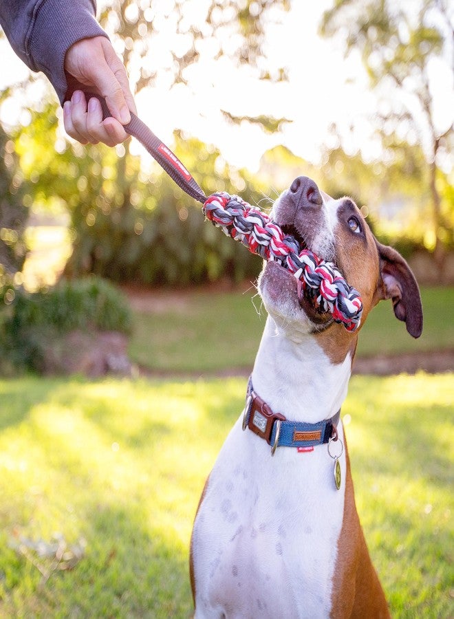 EzyDog Beaver Tail Dog Toy - Versatile and Durable Fetch and Tug Toy That Floats in Water - Perfect for Retrievers and Water Dogs - Large Size for Dogs Over 44 lbs (Large) - Image 4