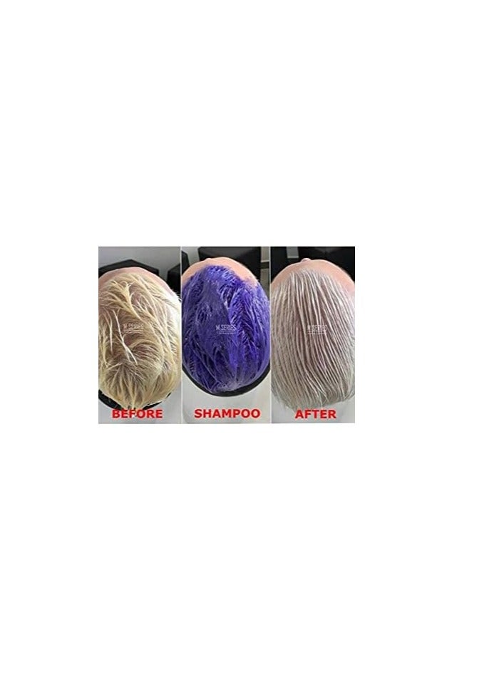 Silver X Silver Professional Hair Conditioner 350ml for Blond and Grey Hair Anti Yellow Effect - Image 5