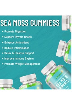 Daynee Organic Sea Moss Gummies Weight Loss Thyroid Health High Immunity Support Detox and Cleanse with Organic Bladderwrack  Burdock Root and Apple Cider Vinegar Supplement 60 Gummies Pack of 1  - Image 3