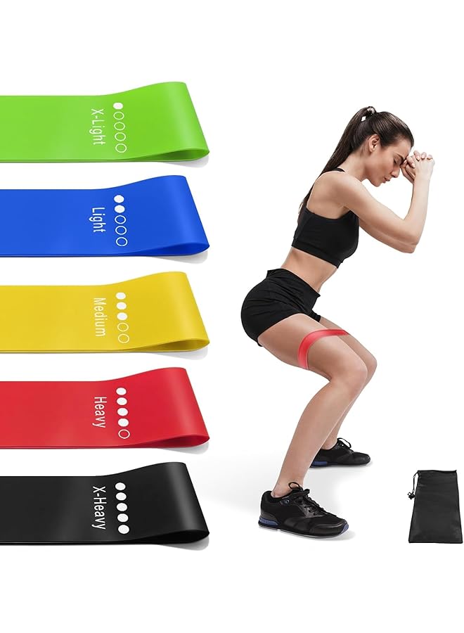 Resistance Bands Set of 5 with Carry Bag – Multi-Level Exercise & Fitness Bands for Home Gym, Strength Training, Yoga, Stretching & Workout for Men & Women