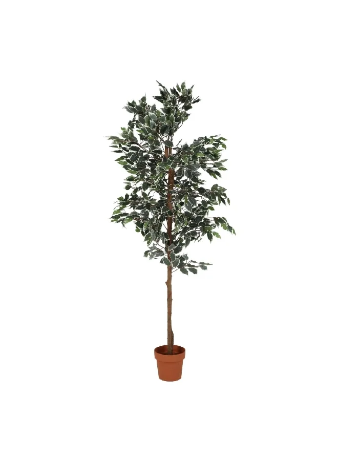 serene 894-Leaves Realistic Looking Artificial Ficus Tree with Sturdy Pot Green and Brown 180cm 19757