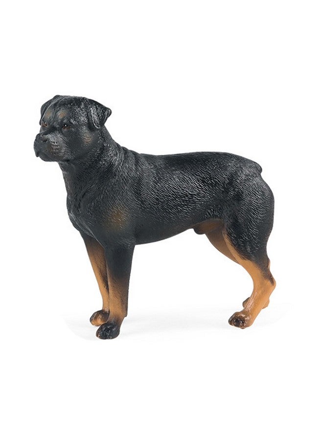 JOKFEICE Farm Animal Figurines, Realistic Rottweiler Fairy Garden Accessories, Learning Toys for Science Project, Birthday Cake Topper Gift for Kids - Image 1