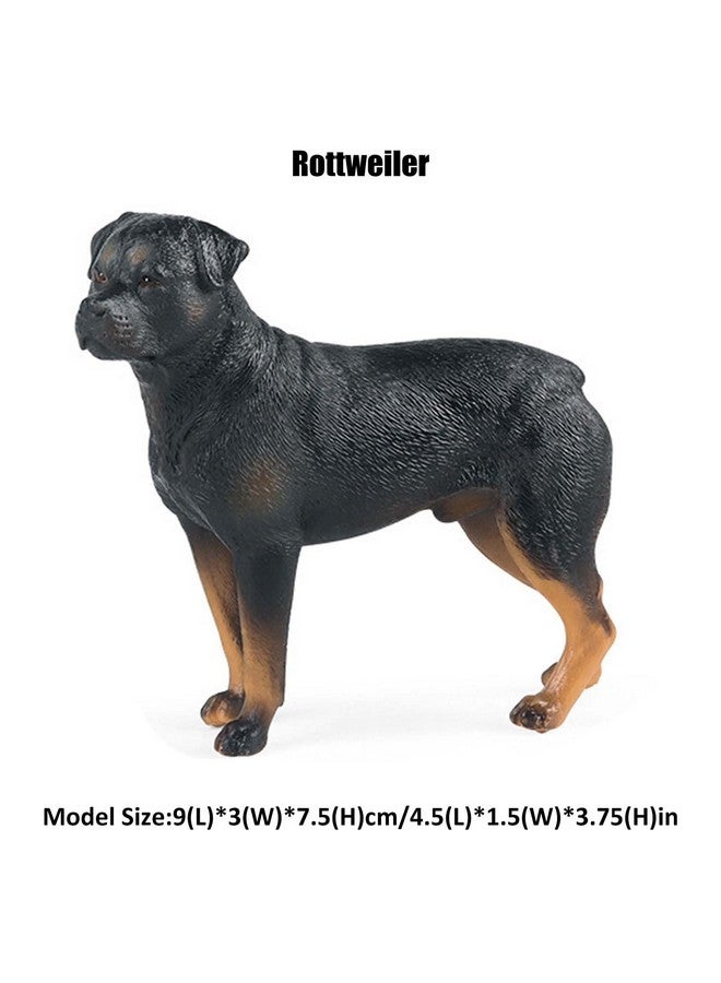 JOKFEICE Farm Animal Figurines, Realistic Rottweiler Fairy Garden Accessories, Learning Toys for Science Project, Birthday Cake Topper Gift for Kids - Image 2