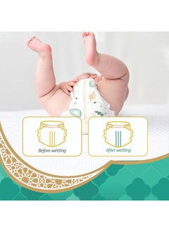 Premium Diapers Procare Tape Size 1 New Born 5 Kg 66 Pieces - pzsku/Z31A3EFE480B143FFFE9FZ/45/_/1701173069/d368dfb1-f9b0-4cf9-98d8-908486dcee06