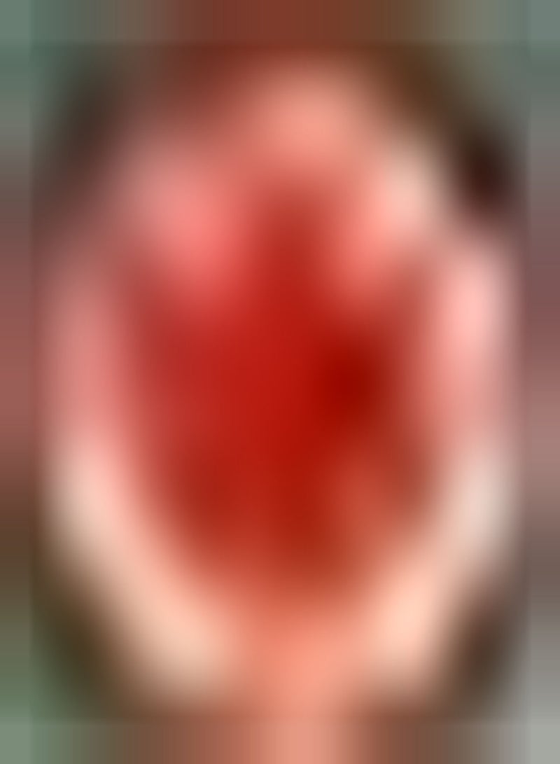 GGOOT 2pcs Oranje Dahlia Bollen Tuin Balkon Beplanting Straalt Charmante Geur uit Lange Bloeiperiode Weinig onderhoud Vrienden die willen planten - Image 1