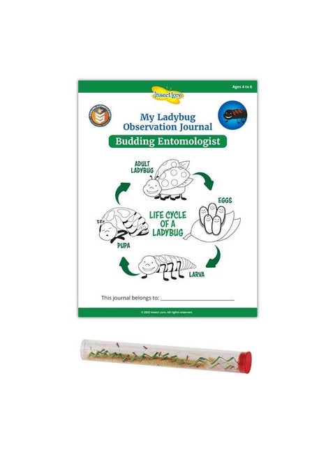 Stem Ladybug Activity Journal With Tube Of Ladybug Larvae