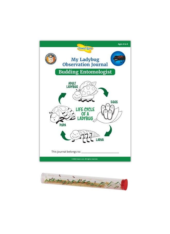 Insect Lore - Stem Ladybug Activity Journal With Tube Of Ladybug Larvae - Image 1