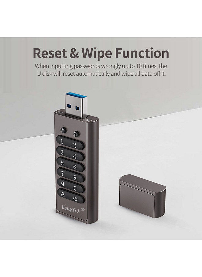 64GB 256-bit Encrypted USB Drive Password Secure Flash Drive USB3.0 U Disk Support Reset/Wipe/Auto Lock Function, Grey