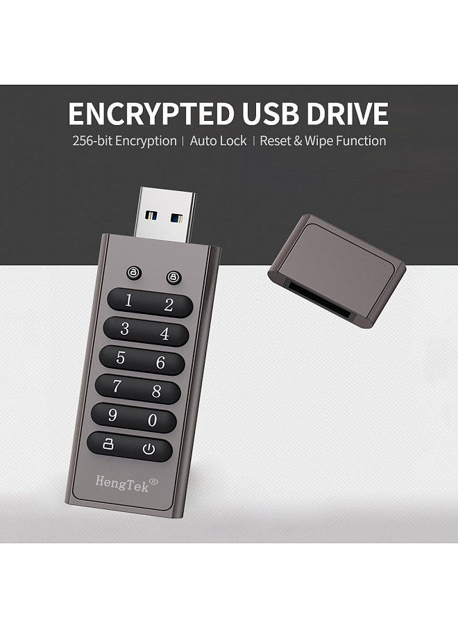 64GB 256-bit Encrypted USB Drive Password Secure Flash Drive USB3.0 U Disk Support Reset/Wipe/Auto Lock Function, Grey