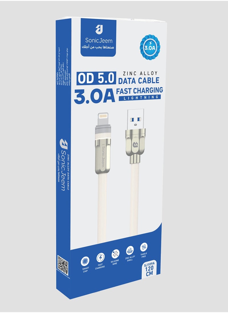 OD Zinc Alloy data cable - Lightning - SJ109A - pzsku/Z31A563D1C3C4D295A44CZ/45/_/1738070829/3bf2489d-fa77-4077-9efd-8d45fb035ec6