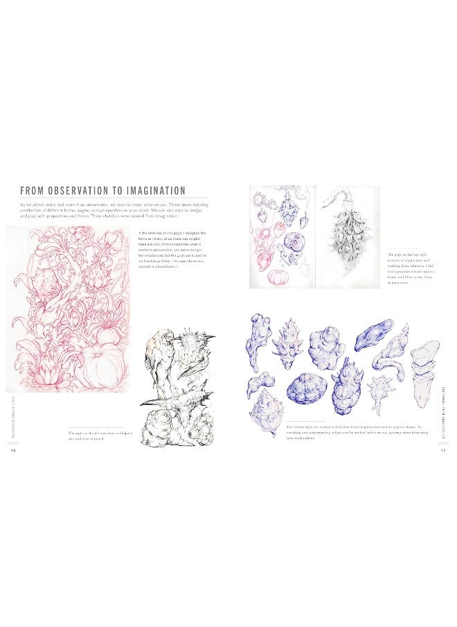 Drawing Basics and Beyond: Transform Observation into Imagination