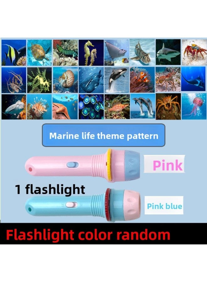 Children's Projection Small Flashlight Fruit Animal Dinosaur Pattern Slide Film Night Market Stall Batch Of Luminous Small Toys 