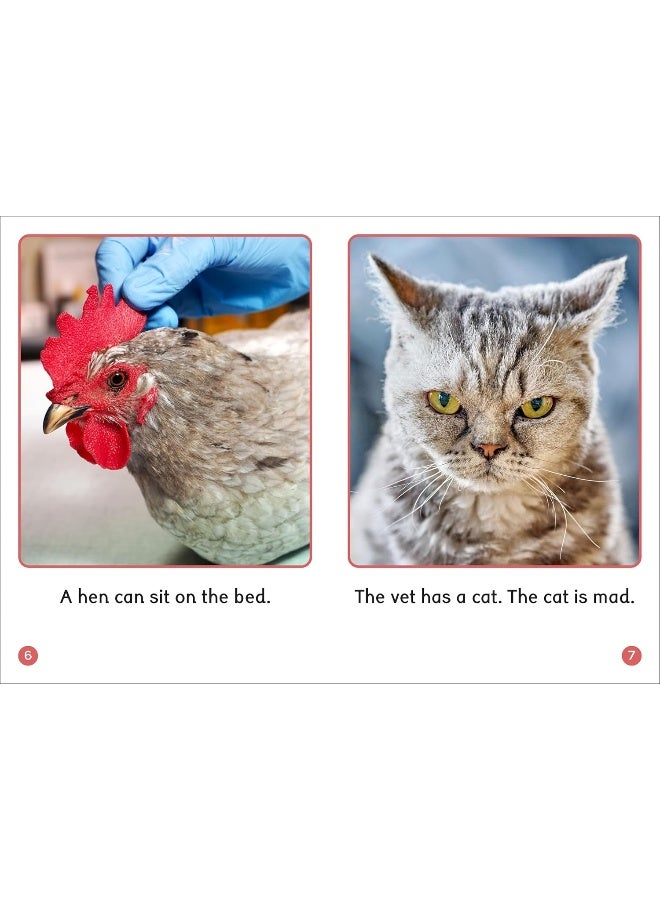 Phonic Books Dandelion World Stages 1-7: Sounds of the alphabet - Image 3