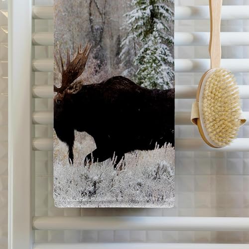 3DROSE 3D Rose Shiras Bull Moose-Autumn Snow Hand Towel, 15" x 22" - Image 2