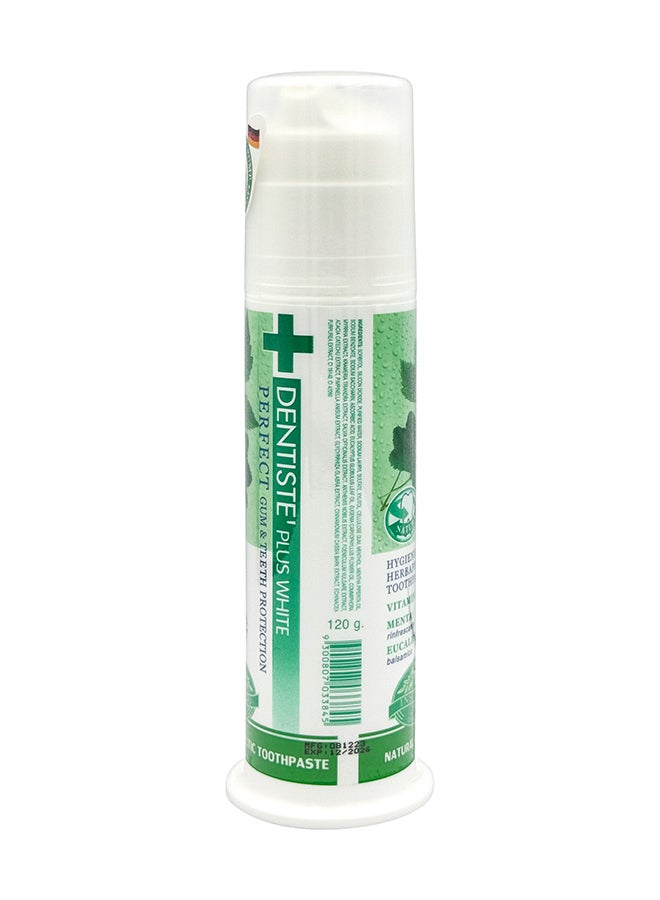 DENTISTE Nighttime Toothpaste Pump 120 Gram - Image 2