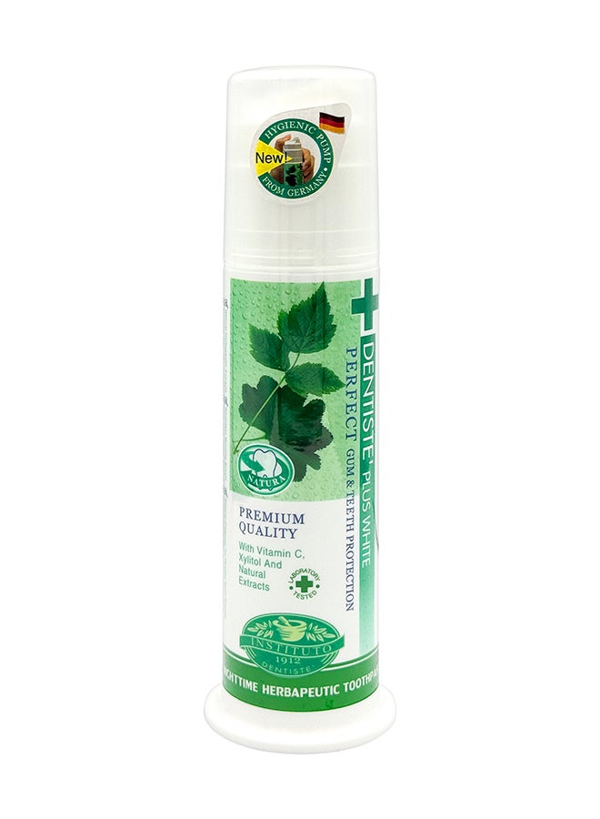 DENTISTE Nighttime Toothpaste Pump 120 Gram - Image 1