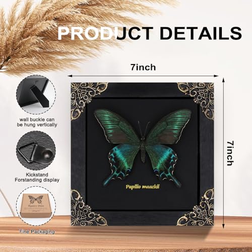 Agaoece Butterfly Framed Decoration Handmade Taxidermy Butterfly Shadow Box Collection Framed Butterfly for Oddities and Curiosities Gifts for Victorian Dark Academia Goth Wall Decor - Image 4