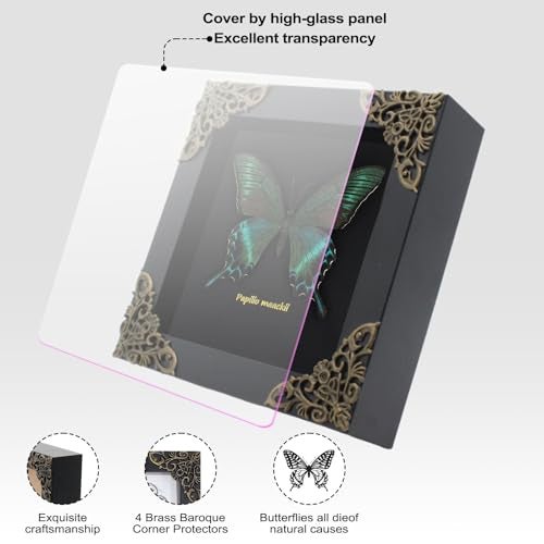 Agaoece Butterfly Framed Decoration Handmade Taxidermy Butterfly Shadow Box Collection Framed Butterfly for Oddities and Curiosities Gifts for Victorian Dark Academia Goth Wall Decor - Image 3