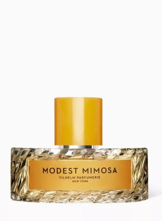 عطر فيلهلم موديست ميموزا 100 مل - pzsku/Z31A742EF1154C542E1B4Z/45/_/1737014083/5319f295-68d2-4482-8849-66c7c4f63876