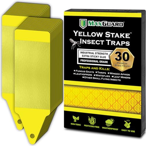 MAXGUARD (30 Pack) Yellow Stake Sticky Insect/Bug Traps - Catch and Kill Fungus Gnats, Whiteflies, Mosquitos, Aphids, Leaf Miners, Flying Insect Catcher Glue Trappers for Indoor or Outdoor - Image 1