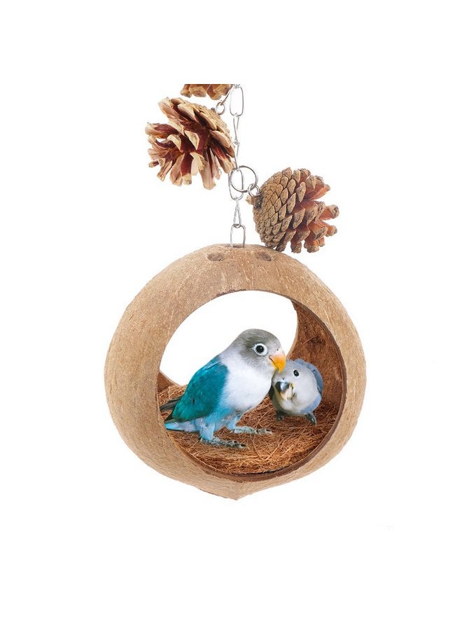 VTurboWay VTurboWay Natural Coconut Shell Bird Nest with Coconut Fiber Mat Breeding Nesting Anti-Pecking Bite for Small Bird Parrot Cockatiel Conure Lovebird Canary Finch  - Image 2