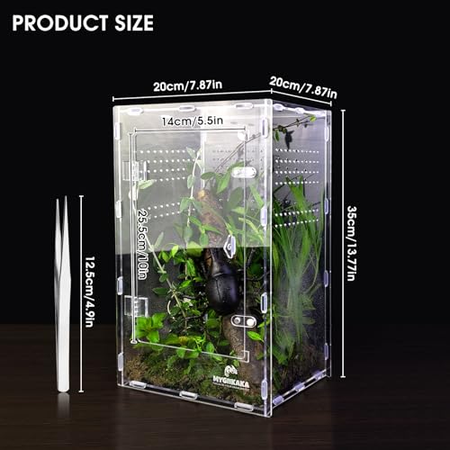 MYGIIKAKA Acrylic Jumping Spider Enclosure - Insect Terrarium for Spiders, Mantises, Tarantulas & Frogs - Image 2