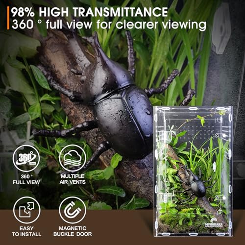 MYGIIKAKA Acrylic Jumping Spider Enclosure - Insect Terrarium for Spiders, Mantises, Tarantulas & Frogs - Image 4