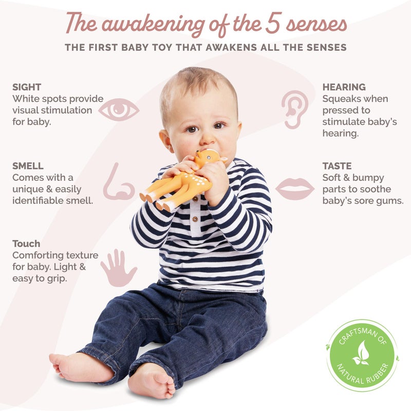 Sophie la girafe Fanfan The Fawn | Teether Friend to Sophie la girafe | Natural Rubber | Designed for Teething Babies | Awaken All 5 Senses | Easy to Clean - Image 2