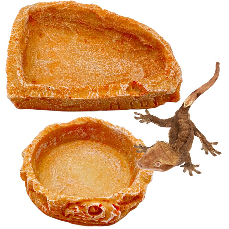 Reptile Water Dish Food Bowl Bearded Dragon Bowls, 2 Pack Reptile Food Bowl for Hermit Crab Bearded Dragon Lizard Gecko Frog Tortoise - Image 1