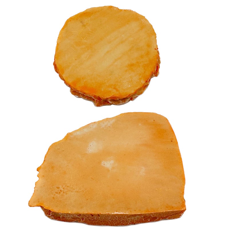 Reptile Water Dish Food Bowl Bearded Dragon Bowls, 2 Pack Reptile Food Bowl for Hermit Crab Bearded Dragon Lizard Gecko Frog Tortoise - Image 5