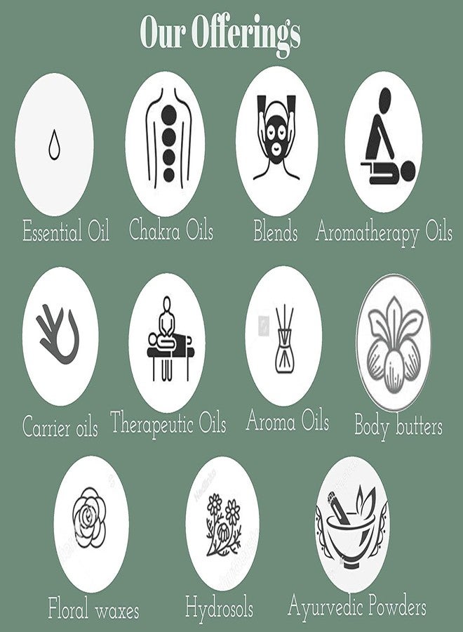 Deve Herbes Pure Radish Seed Oil (Raphanus sativus) | Cold Pressed | Natural | Undiluted | For Diluting Essential Oils | For Skin & Massage | Men & Women | 10ml - Image 3