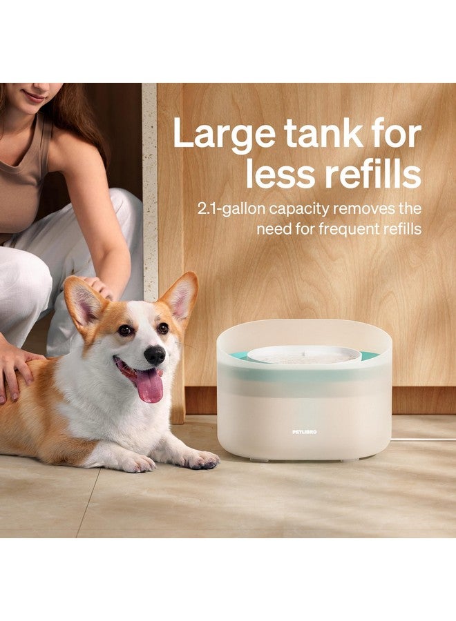 PETLIBRO PETLIBRO Replacement Filters for Capsule Dog Fountain PLWF008, 4 Month Set of Filters for Dog Water Dispensers, 8 Count Pack, White  - Image 3