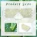 ANCKNE Jade Eye Mask Facial Cooling Mask with 100 Real Jade for Hot Cold Therapy Reduce Wrinkles Puffiness Migraines and AntiAging Essential Crystal Eye Mask for Beauticians - Image 4