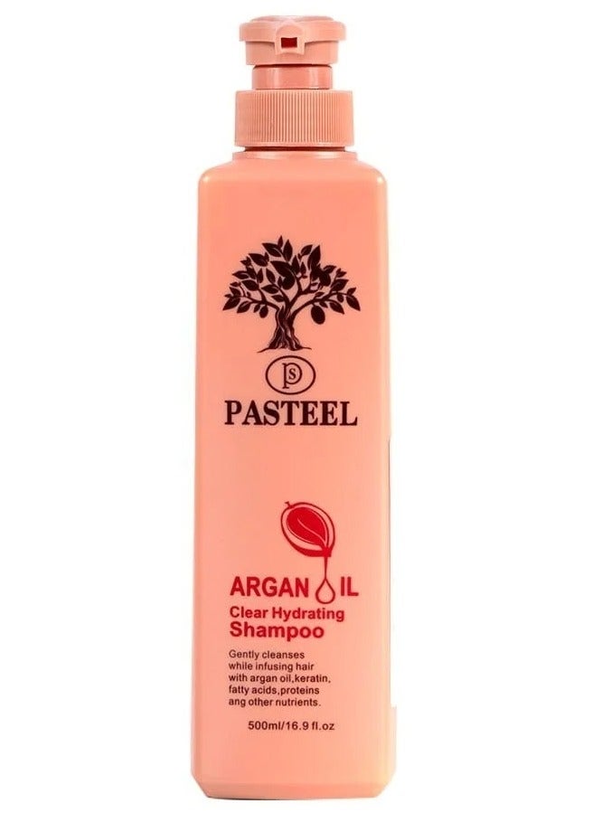 PASTEEL Pastel Shampoo with Argan Oil 500ml
