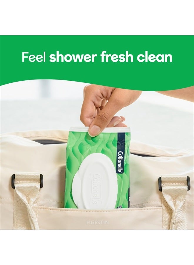 Cottonelle مناديل مبللة قابلة للشطف من جنتل بلس مع الألوة وفيتامين E، 6 عبوات قابلة للفتح، 42 منديل لكل عبوة (252 منديل إجمالي)، قد يختلف التغليف - Image 5