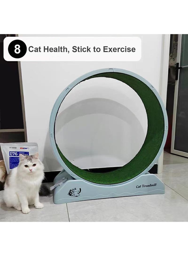 كيدل المحمولة القط المطحنة القط اللياقة البدنية اللياقة البدنية عجلة قابلة للطي حوض القط تشغيل عجلة تناسب معظم القطط - Image 4