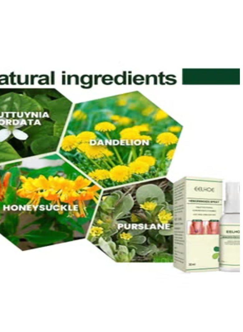 EELHOE Hemorrhoids Spray Treats External Hemorrhoids Fissures And Dlscomfort for Relieve Hemorrhoid Swelling and Pain  - Image 2