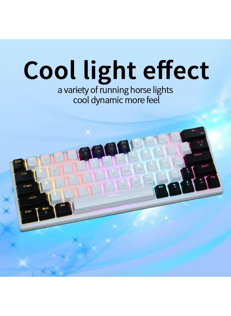 JoyousSto - 63key Detachable Type-C wired plug-in game mechanical 60% keyboard e-sports computer game RGB mixed light white and black - Image 1