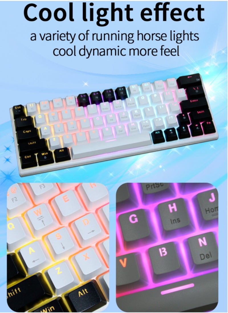 JoyousSto - 63key Detachable Type-C wired plug-in game mechanical 60% keyboard e-sports computer game RGB mixed light white and black - Image 1